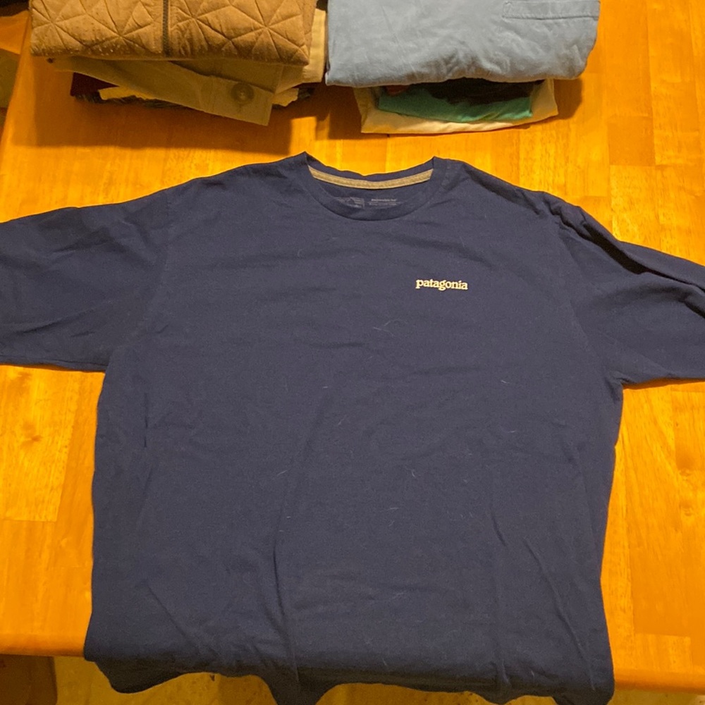 Patagonia. Never worn long sleeve male t shirt